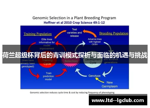 荷兰超级杯背后的青训模式探析与面临的机遇与挑战