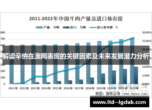 解读辛纳在澳网表现的关键因素及未来发展潜力分析