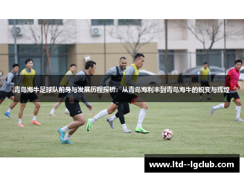 青岛海牛足球队前身与发展历程探析：从青岛海利丰到青岛海牛的蜕变与辉煌