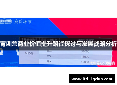 青训营商业价值提升路径探讨与发展战略分析 青训营商业价值提升路径探讨与发展战略分析