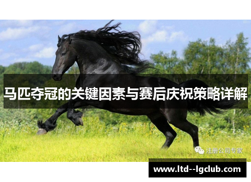 马匹夺冠的关键因素与赛后庆祝策略详解
